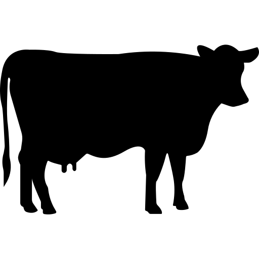 35.000₺ icon